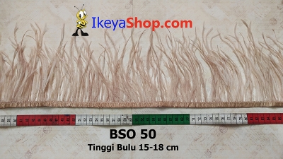 BSO 50  large2